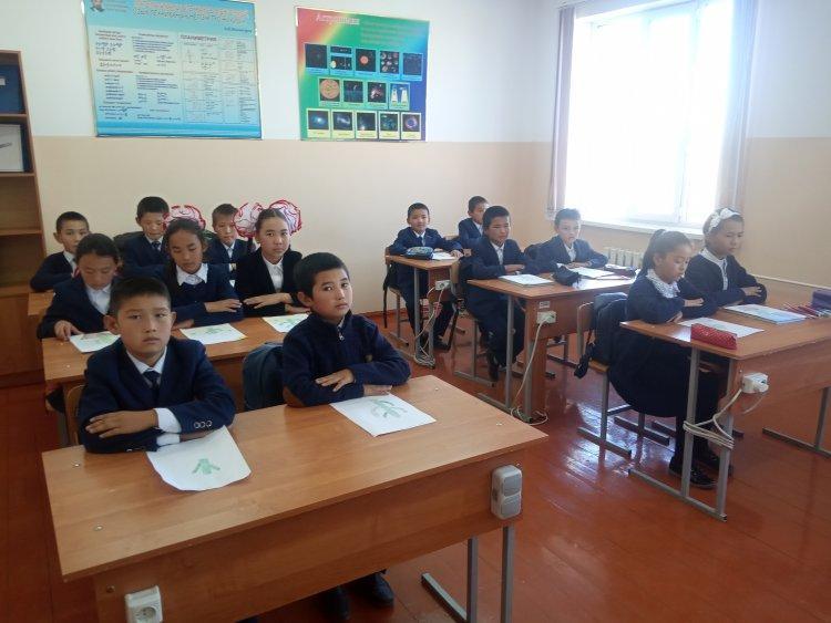 Кактус әдістемесі бойынша тест. 5-7 сыныптар