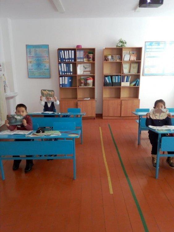 Үй жануарлары мен жабайы жануарлар.