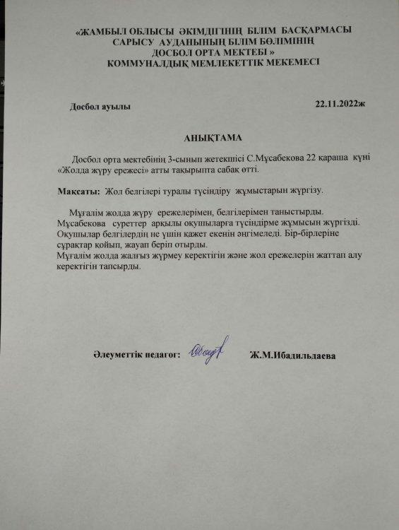 Жолда жүру ережесі